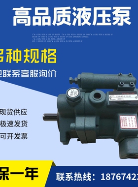 台湾柱塞泵P08/P1k6/P22/P36-A0/A1/A2/A3-F-R-01液压油泵