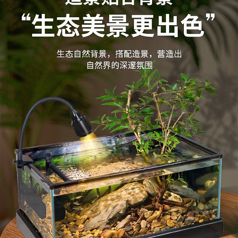 桌面超白玻e璃南美风溪流造景客厅小型鱼龟共养生态新款鱼缸乌龟,标准件/零部件/工业耗材,车间地垫,淘宝优惠券,粉丝福利购,淘宝优惠卷