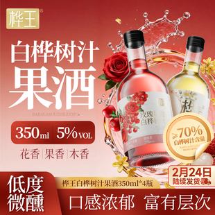 桦王白桦树汁酒5度350ml低度微醺果酒女士小甜酒高颜值晚安酒