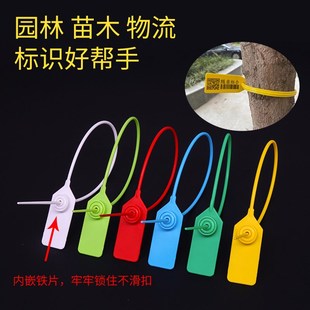 加长园林苗木锁扣一次性封条树A木标记标识牌封签记号牌封签扎带