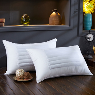 天然荞麦两用枕芯宾馆酒店全棉C枕芯防羽布荞麦两用枕芯枕头芯
