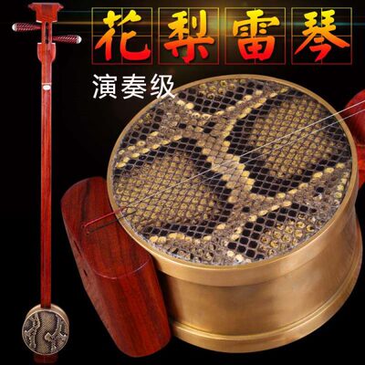 花梨木料专业演奏大擂琴乐队剧团用雷琴苏州工艺坠胡民族拉弦乐器