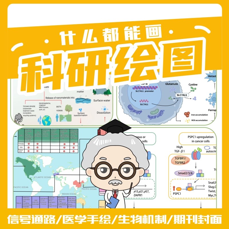 流程图示意图代画画科研绘图技术路线图sci期刊图医学Z图素材美化