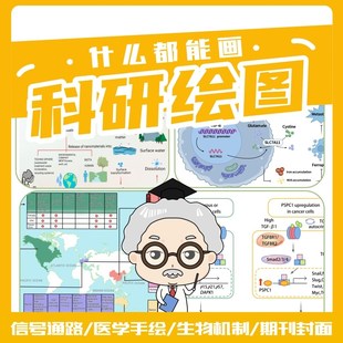 流程图示意图代画画科研绘图技术路线图sci期刊图医学Z图素材美化