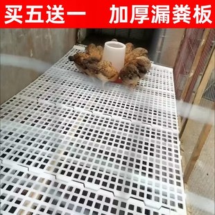 鸡粪漏粪板鸡笼漏粪网养鸡用漏屎地板G鸡舍养殖家禽鸭鹅鸽子用模