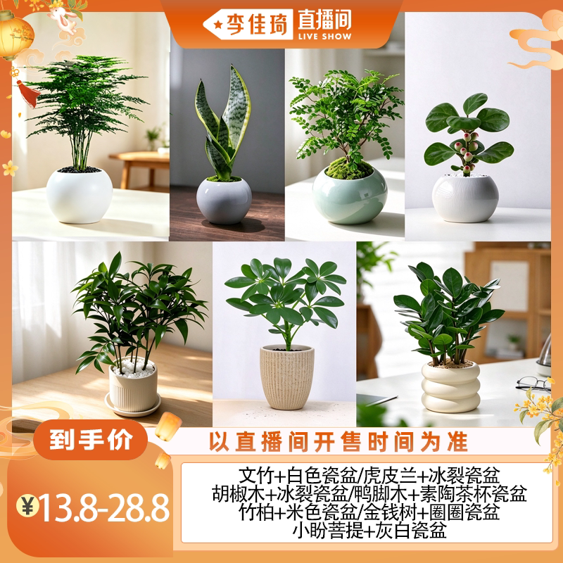 【李佳琦直播间】花伴水中式禅意系列桌面盆栽
