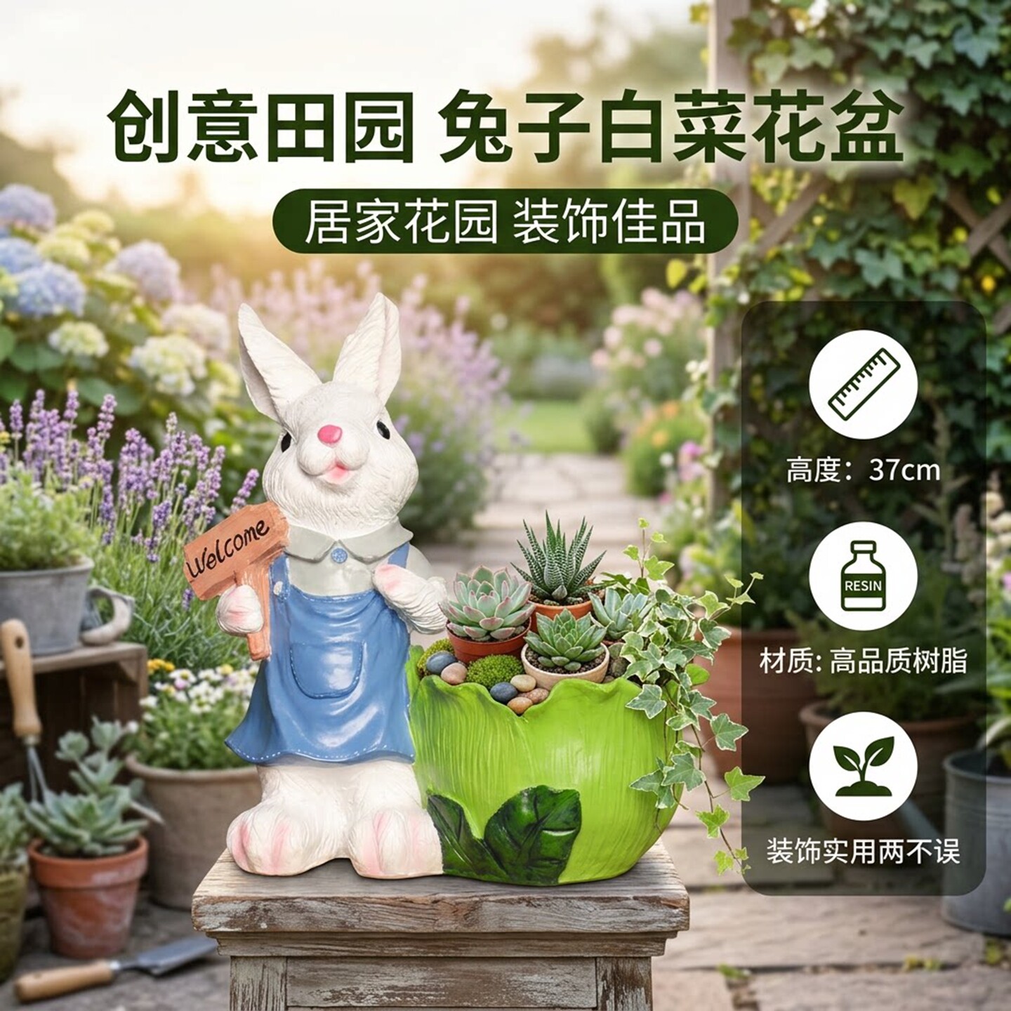 多肉植物花盆摆件花园阳台装饰图片