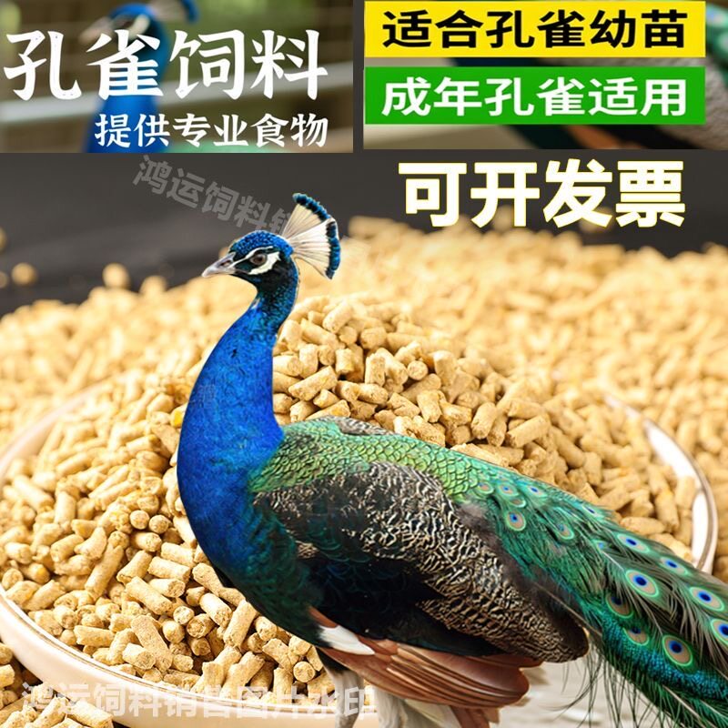 孔雀饲料公园幼儿园养殖场饲料