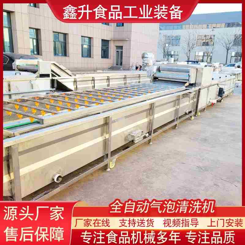 全自动气泡清机高压淋喷鼓泡海鲜洗清洗设备多功能洗菜机