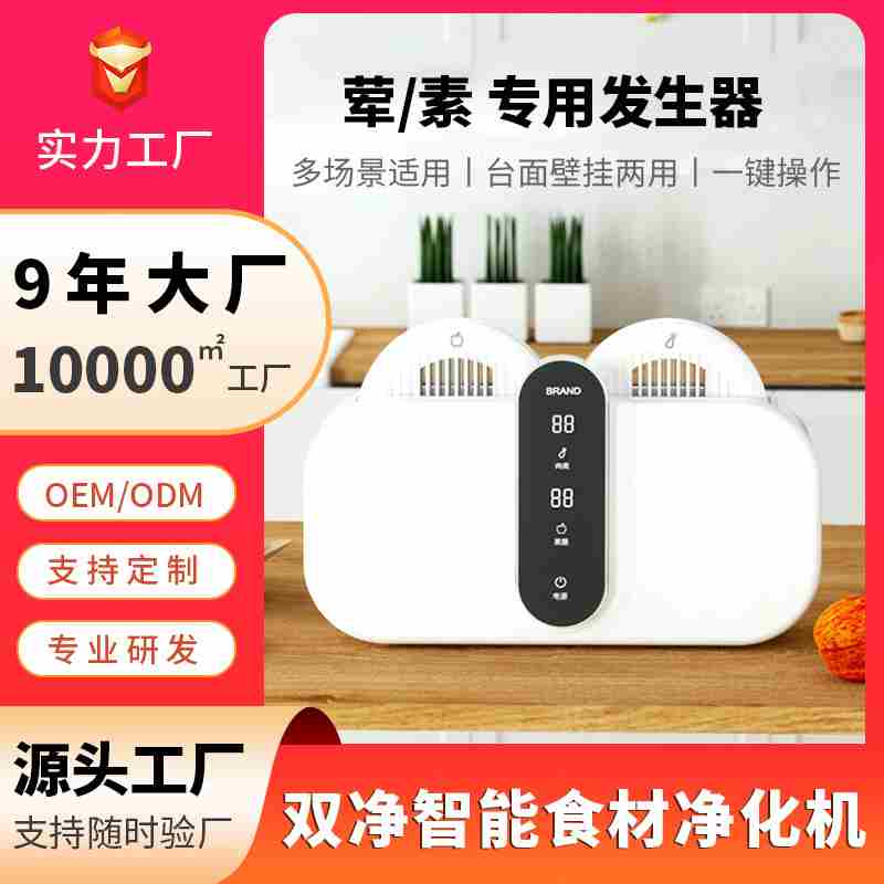 双果蔬清洗用机壁挂食品仓食式材净化器农残消毒洗菜机家全自动