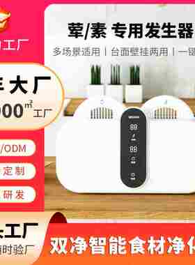 双果蔬清洗用机壁挂食品仓食式材净化器农残消毒洗菜机家全自动