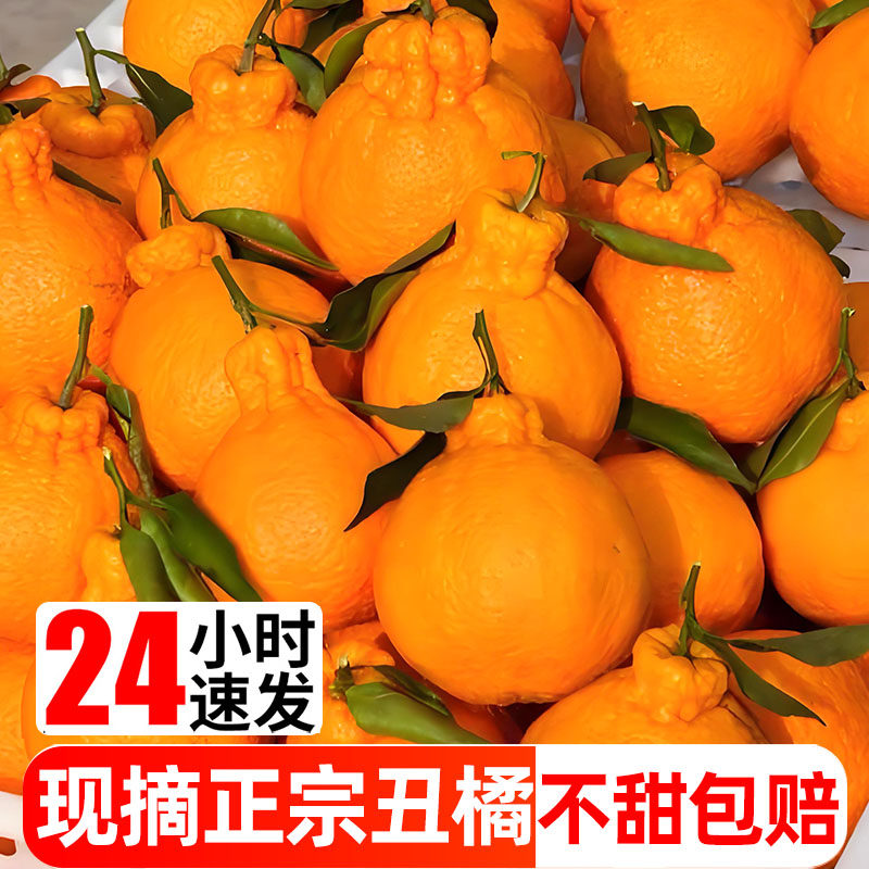 丑八怪丑橘耙耙柑橘子新鲜10斤蜜橘桔子当季时令水果整箱粑粑柑橘