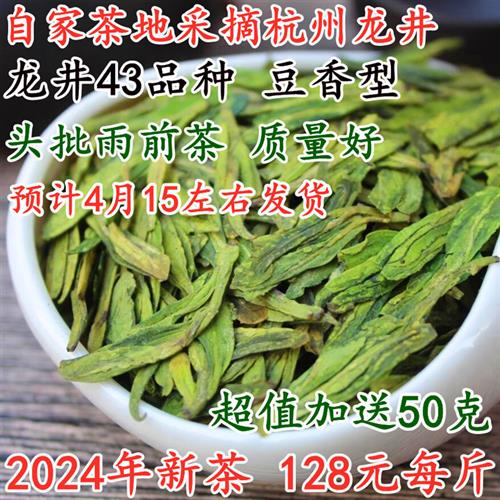 预售龙井2024新茶雨前龙井茶叶高山绿茶500克豆香口粮龙井43品种