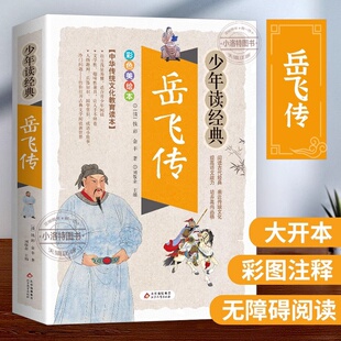 官方正版 岳飞传彩图白话文版 满江红精忠报国小学生青少年版课外阅读书籍传统文化名著儿童文学英雄故事小学生励志故事书古典名著