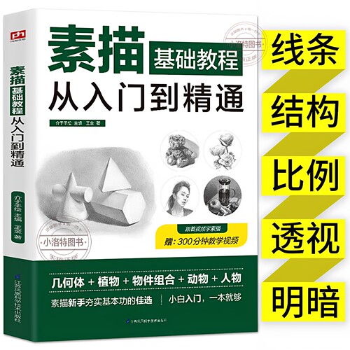 正版 素描零基础教程从入门到精通自学入门教程材铅笔手绘画从单个体石膏几何体成人美术的诀窍临摹范本到精通套人物头像速写绘画