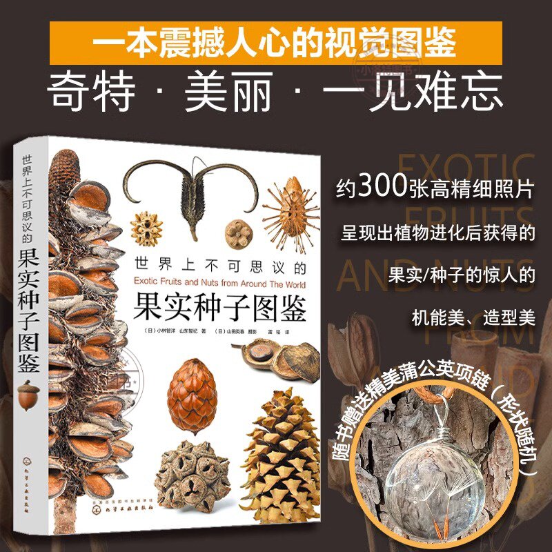 官方正版 世界上不可思议的果实种子图鉴赠蒲公英项链300张高精细果实图片青少年课外阅读自然科普书画报级亚光铜版纸精装小林智洋