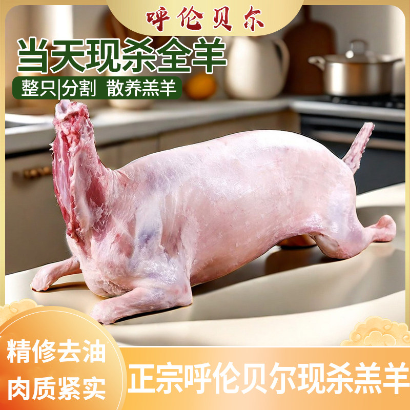 呼伦贝尔本地现杀全羊整只手抓羊肉山羔羊现杀30斤羊排羊腿火锅