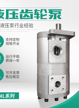 厂家供应液压泵CBNL-F550/F510-BFHR液压齿轮泵 河北煤矿用齿轮泵