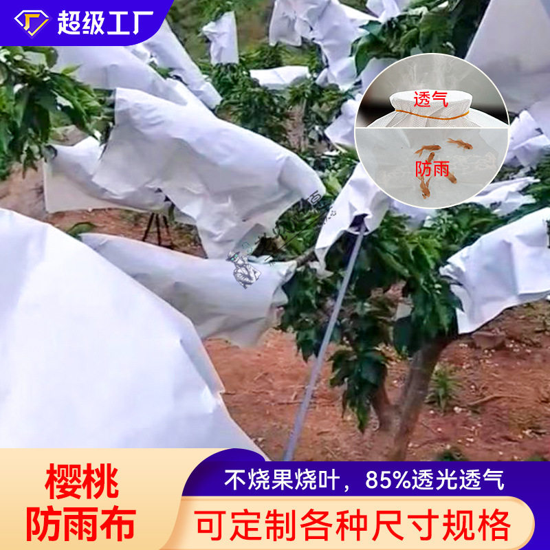 果树遮雨布樱桃防雨李子防裂果防虫防鸟透气透光遮雨布老农心愿