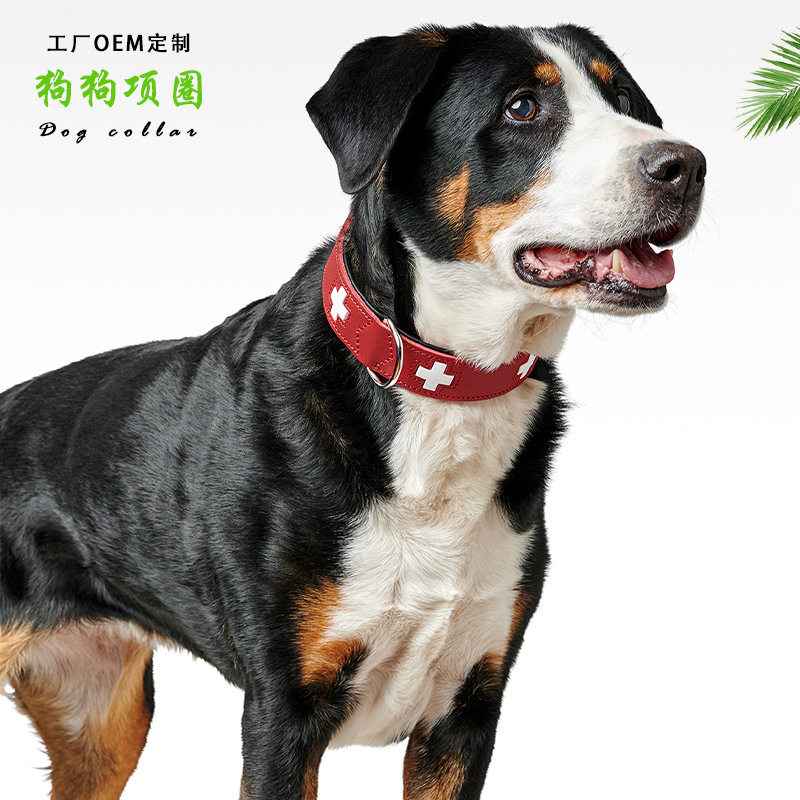 真皮狗狗爱心项圈中小型犬宠物项圈遛狗脖圈舒适宠物颈圈加工定制