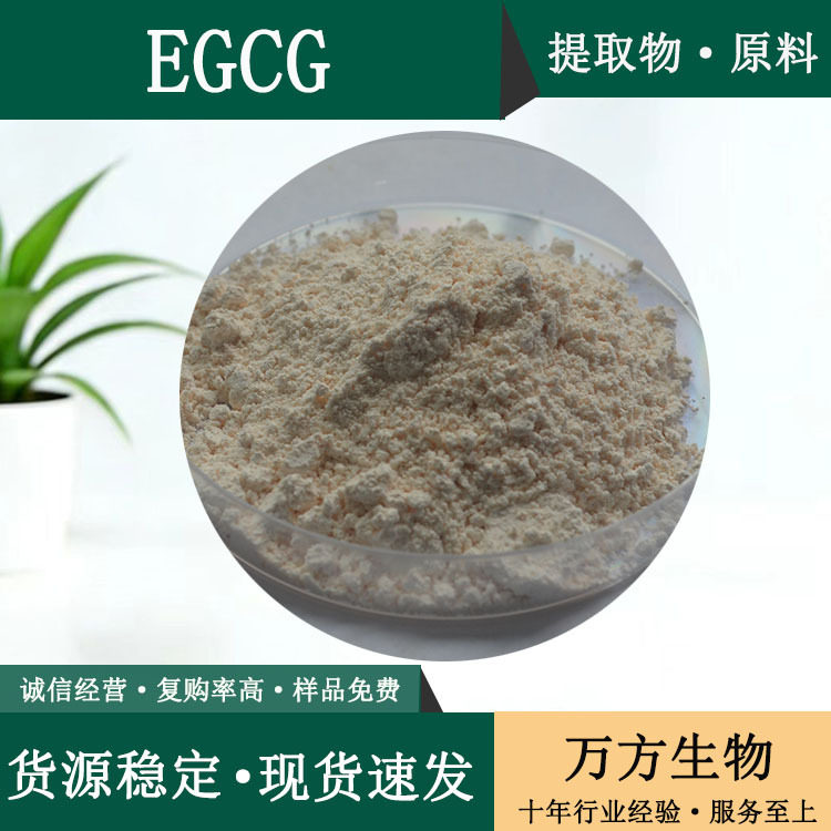 EGCG98%表没食子儿茶素100克/袋品质保证万方现货包邮批发egcg