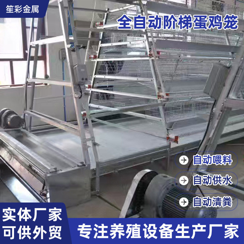 A字型阶梯式全自动组装蛋鸡笼三层四层养殖场鸡舍大棚养殖蛋鸡笼