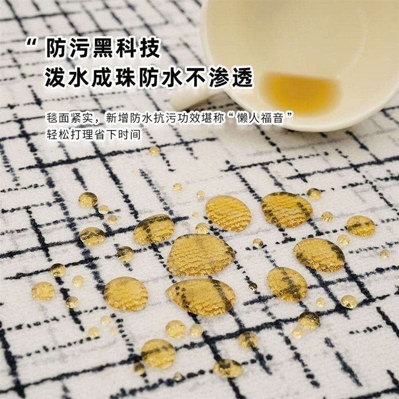 黑白防水c地毯客厅小香风圈绒床边毯沙发茶几简约卧室地毯全铺