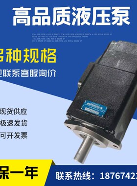 派克法国丹尼逊DENISON液压双联T6EC-062-028-N3R00-C1-MO叶片油