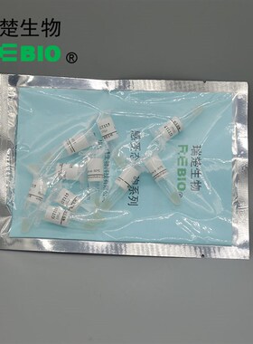 包邮包干冰 MC1l061化学转化感受态细胞大肠杆菌感受态细胞R09027