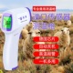 新品 兽用红外线测温仪动物体温z计牛羊猪马小狗狗猫宠物体温枪红