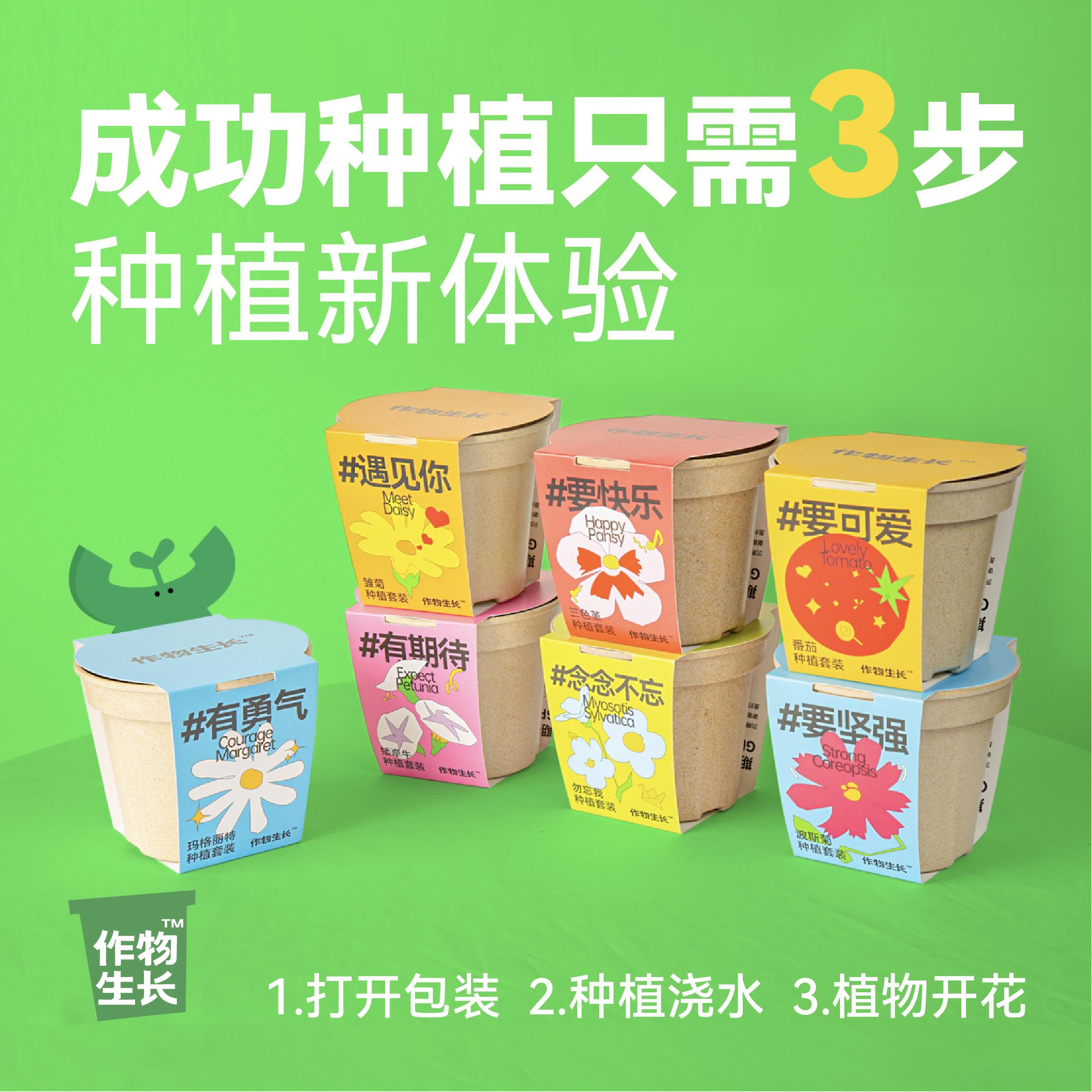 作物生长观赏花卉种植套装雏菊牵牛花盆栽创意礼品桌面绿植礼物