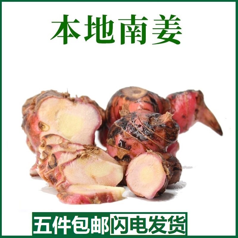 新鲜南姜良姜500g正宗潮汕南姜去膻调味配料野生山姜生姜红皮南姜