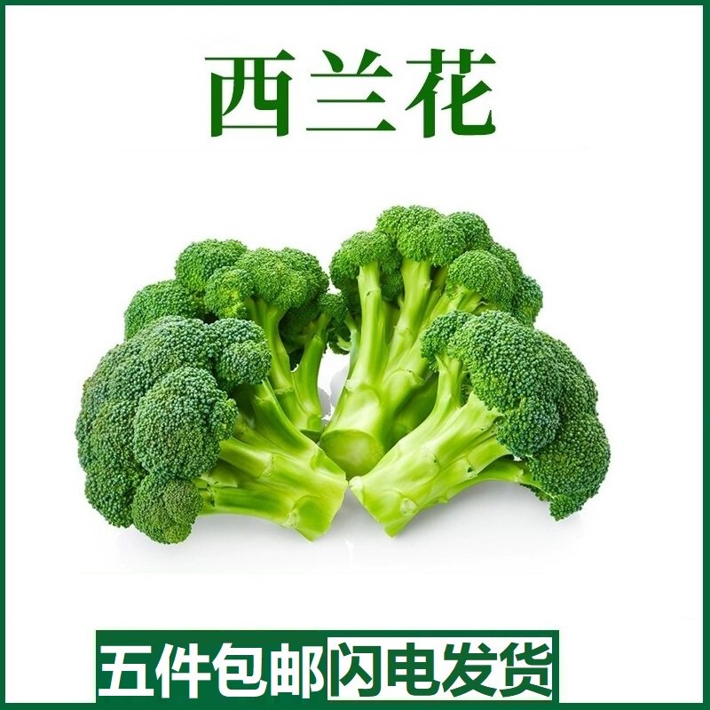 新鲜西兰花500g 脆嫩青花菜绿花菜西蓝花椰菜时令蔬菜 沙拉食材