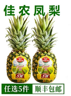 佳农SW凤梨菲律宾进口新鲜热带水果无眼金菠萝削皮即食饮品1000g