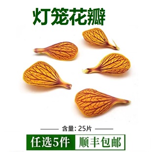 新鲜灯笼花瓣金玲花酒店日料烘焙蛋糕点缀西餐摆盘装饰食用花草