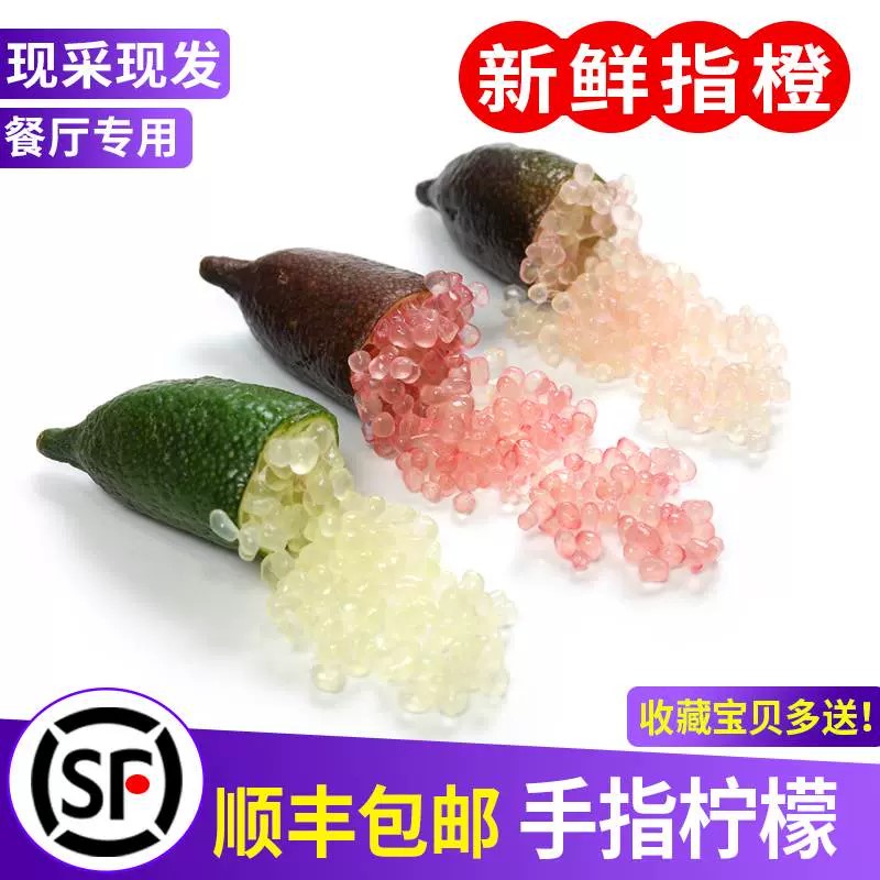 手指柠檬新鲜果 澳洲品种指橙鱼子酱50g拇指柠檬西餐排盘装饰点缀