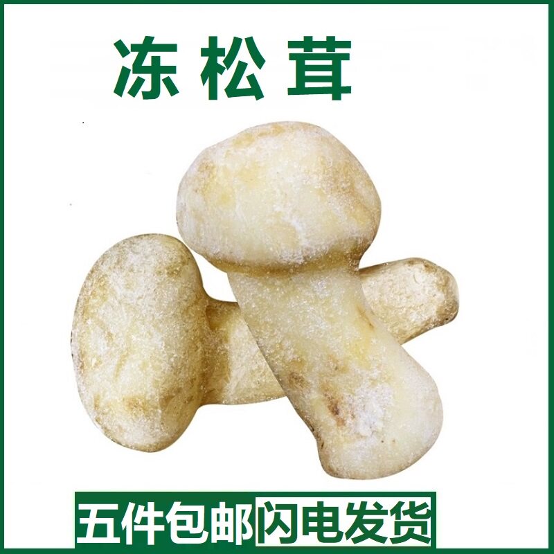 云南特产香格里拉速冻松茸冰冻新鲜松茸菌菇冰鲜松茸500g不带冰
