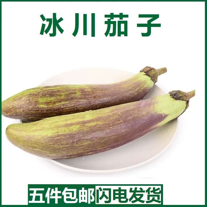 冰川茄子500克新鲜蔬菜酒店烧烤脆皮茄子云南缅甸花茄子糯长茄子