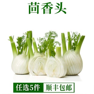 新鲜茴香头500g 香料菜西餐食材配料调料用品 球茎味浓茴香菜蔬菜