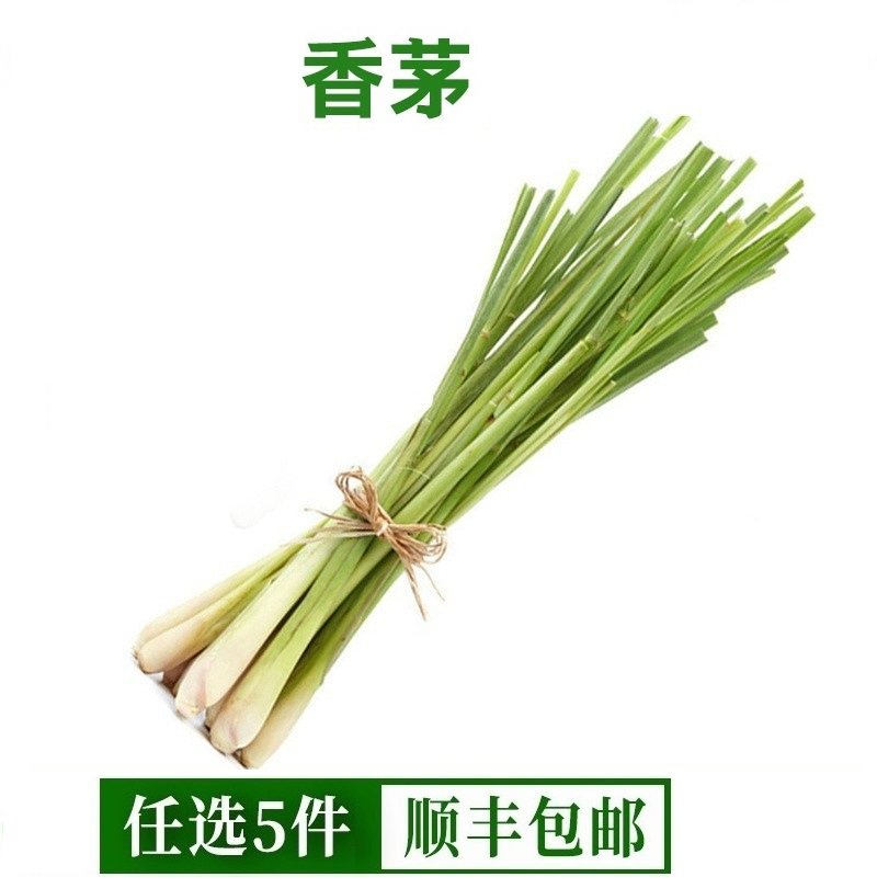 新鲜香茅草柠檬草香茅香料菜奶茶店用品调料泰国冬阴功汤调味料,水产肉类/新鲜蔬果/熟食,其它,淘宝优惠券,粉丝福利购,淘宝优惠卷