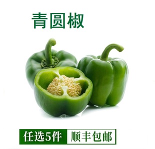 新鲜青圆椒灯笼椒500g 绿色圆椒新鲜蔬菜灯笼椒青圆椒甜椒大青椒