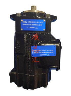 T6CC-025-p003-2R01-C100液压油泵