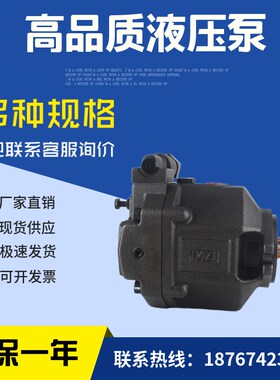 台湾油研液压柱塞泵AR16/AR22-FR01CS/BS-22/20S变量油泵YUKEN泵