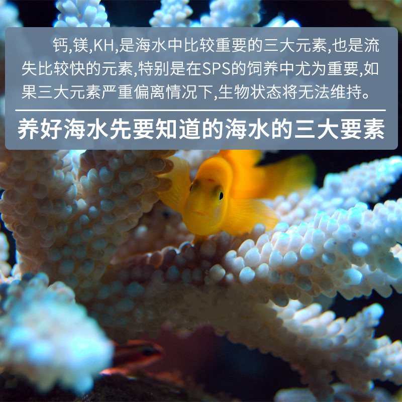 德国TM生化钙粉镁粉锶KH粉Ca粉Mg粉GPH稳定剂8倍浓缩钙矿物添加剂