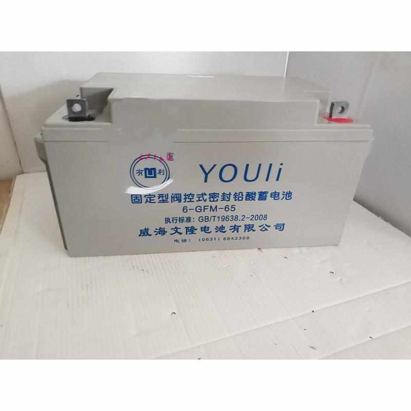 YOULI有d利铅酸蓄电池6-GFM-38/12V38ah消防监控系统直流屏UPS电