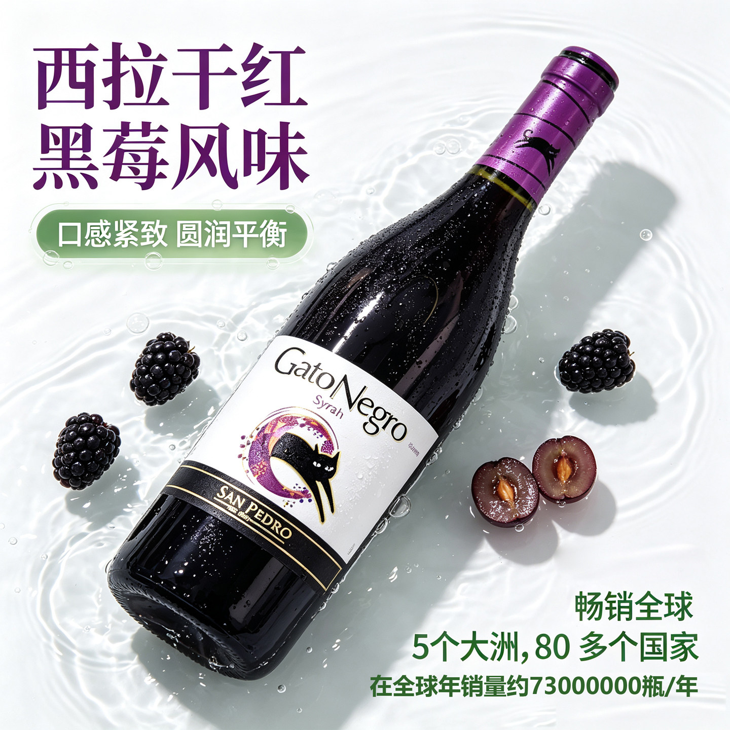智利原瓶进口黑猫红酒干红西拉葡萄酒蔓越莓香日常男女士微醺自饮
