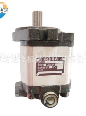 适用雷沃欧豹拖拉机后桥前桥变速箱液压悬J挂配件TB1C55齿轮泵