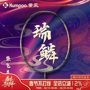 薰风羽毛球拍碳素纤维专业比赛训练超轻进攻型熏风单拍礼盒装瑞麟