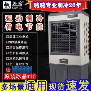 骆驼牌可c移动冷风扇商超车间出租房空调扇大型蒸发冷风机降温神