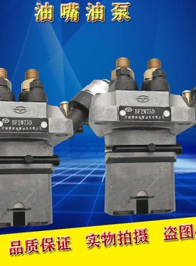 新款油嘴油泵BF2M75D BFG2K75 BFG2M75D BF2M75 BUFG2M75喷油包邮